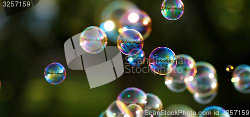 Image of Soap bubbles