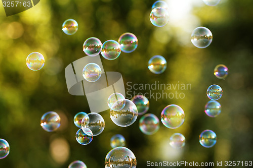 Image of Soap bubbles