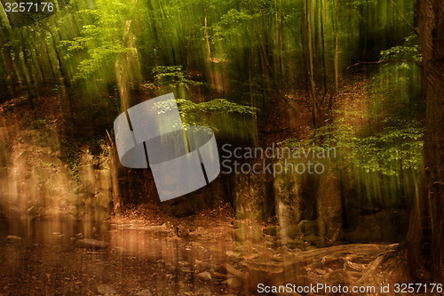 Image of Blurred trees background