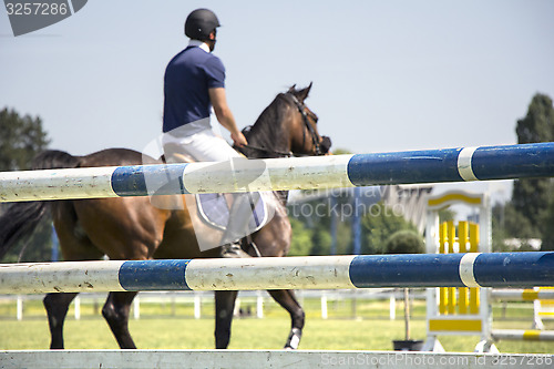 Image of Show jumping