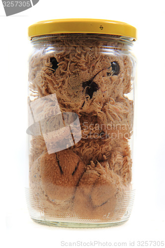 Image of bear toy glass