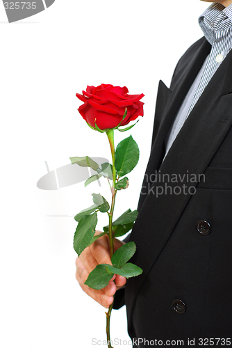 Image of Man red rose