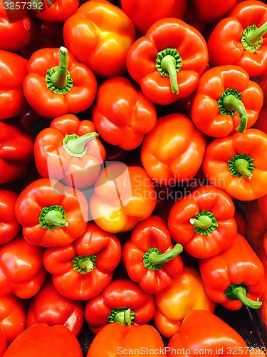Image of Red Peppers