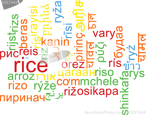 Image of Rice multilanguage wordcloud background concept