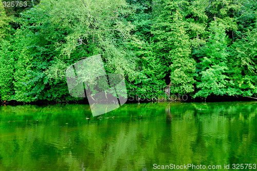 Image of Green reflections