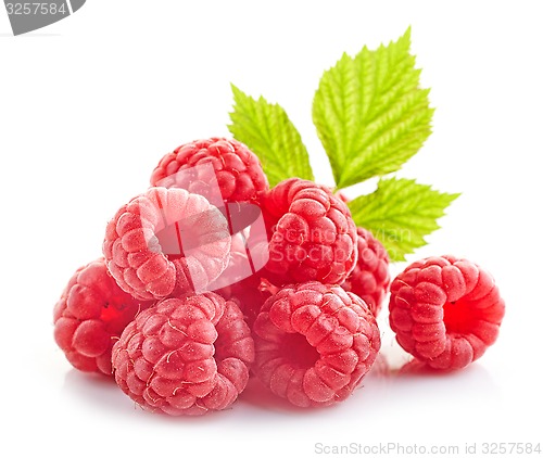 Image of fresh organic raspberries