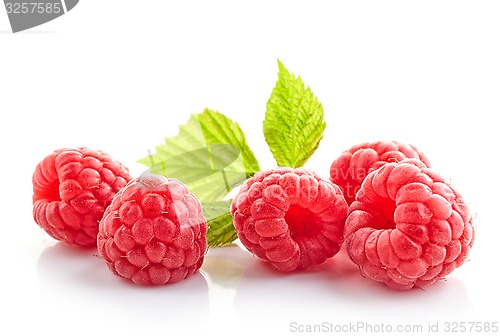 Image of fresh organic raspberries