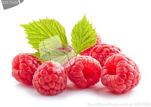 Image of fresh organic raspberries