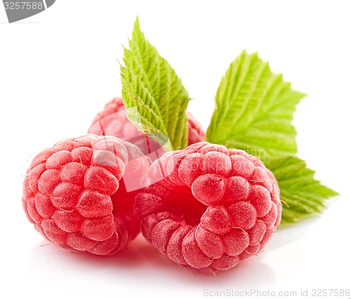 Image of fresh organic raspberries