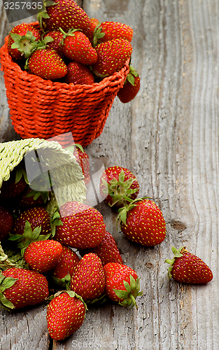 Image of Forest Strawberries