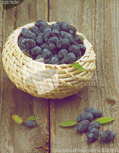 Image of Honeysuckle Berries