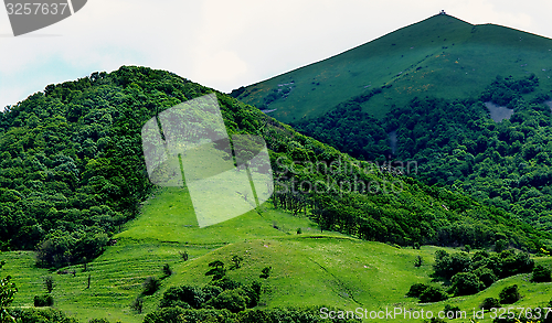 Image of Green Hills