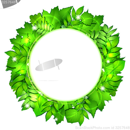 Image of Fresh green leaves vector border.