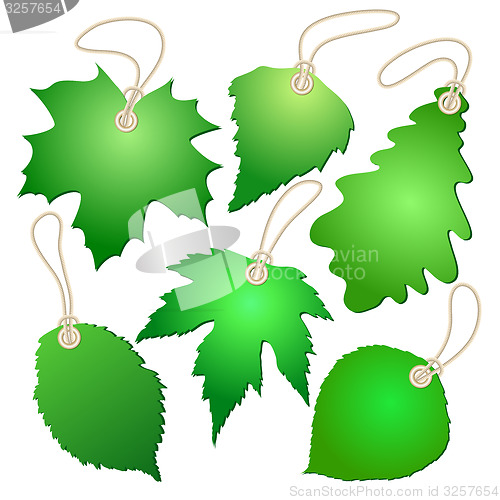 Image of Hanging vector tags with green leaves.
