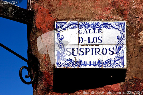 Image of plant and a wall in calle de los suspiros