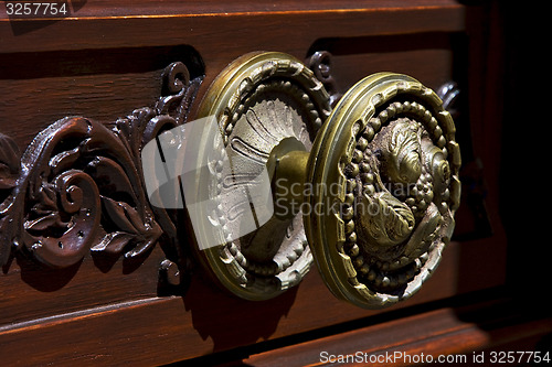 Image of  brown knocker in a closed wood