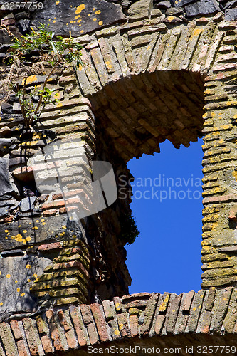 Image of window and flower in the wall 