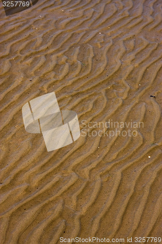 Image of shore texture and curved line in colonia del sacramento 