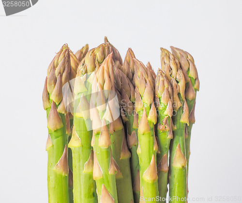 Image of Asparagus vegetable