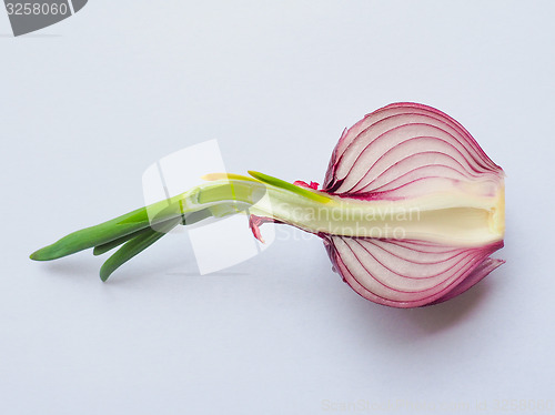 Image of Red onions vegetable sliced