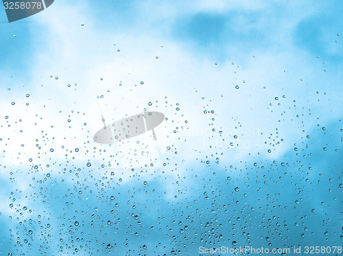 Image of Rain droplets