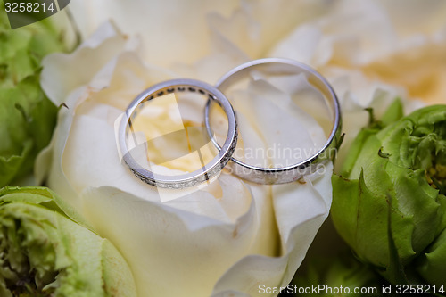 Image of Bouquet of white roses