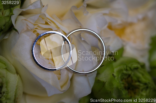 Image of Bouquet of white roses