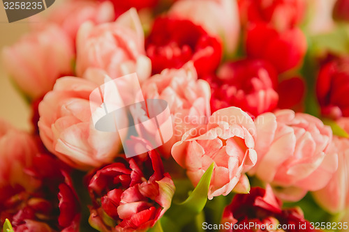 Image of bouquet of tulips on white background for advertising