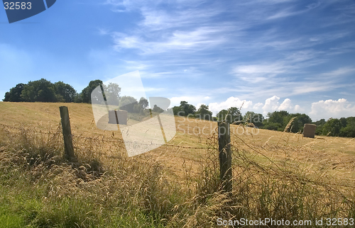 Image of Summer Harvest