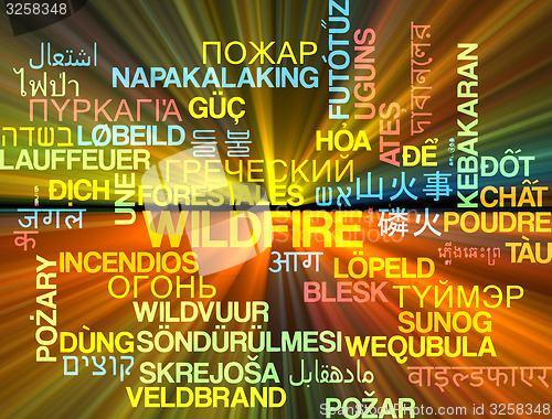 Image of Wildfire multilanguage wordcloud background concept glowing
