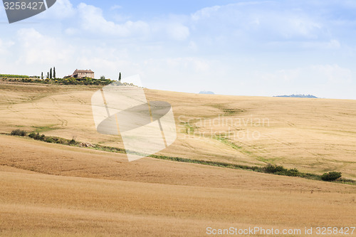 Image of Countryside in Tuscany