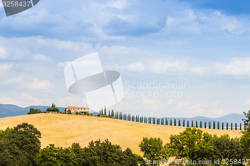 Image of Countryside in Tuscany