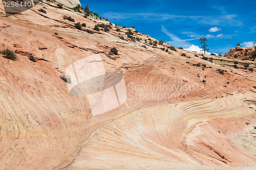 Image of Zion National Park