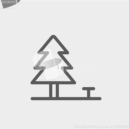 Image of Pine tree thin line icon
