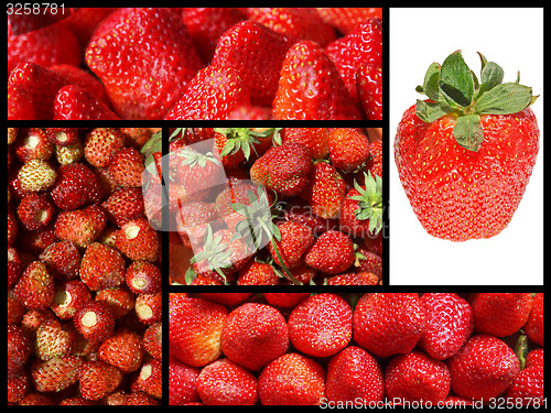 Image of Strawberry collage