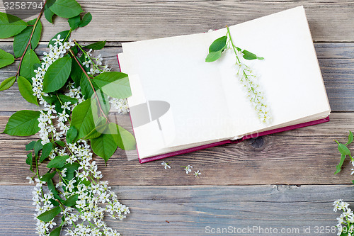 Image of Blossoming bird-cherry and vintage open book