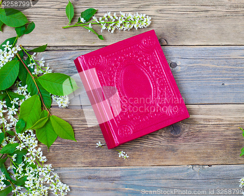 Image of Blossoming bird-cherry and vintage album