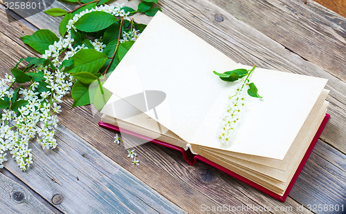 Image of Blossoming bird-cherry and vintage open album