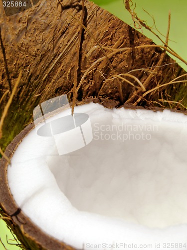 Image of Coconut
