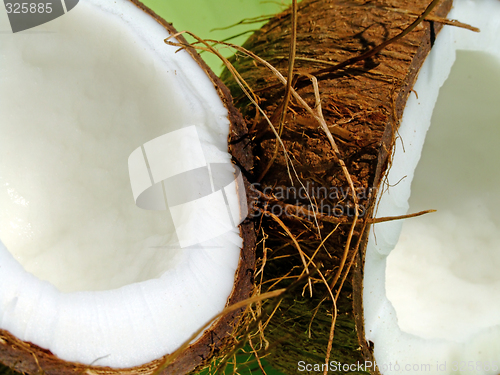 Image of Coconut
