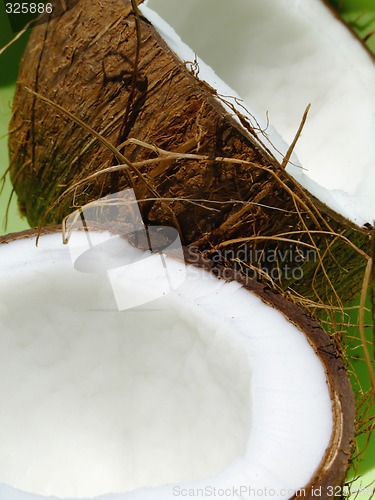 Image of Coconut