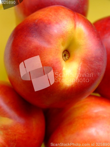 Image of Peaches