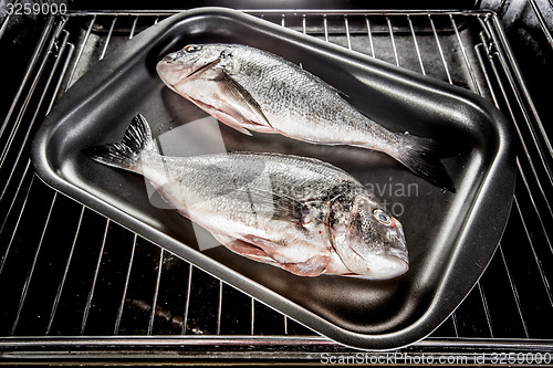 Image of Dorado fish in the oven.