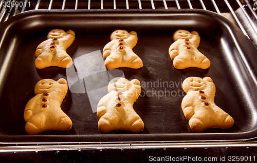 Image of Gingerbread man