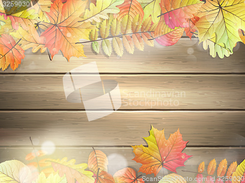 Image of Wooden planks with autumn leaves. EPS 10