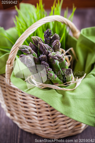 Image of Fresh green asparagus