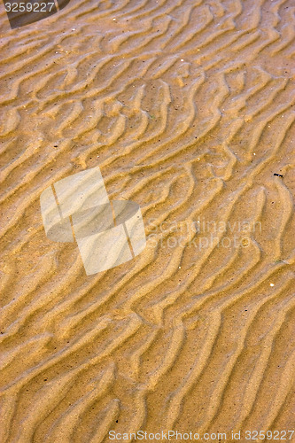 Image of shore texture and curved line in rio de la plata