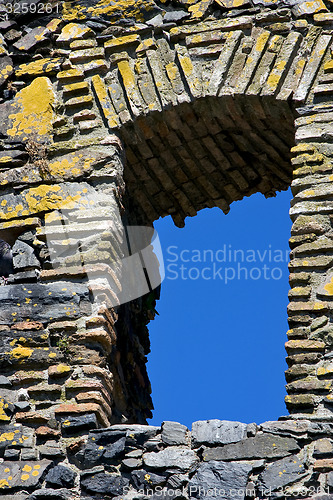 Image of  old window and bush 