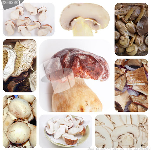 Image of Vegetarian food set