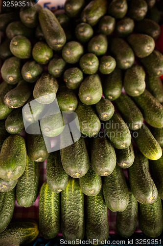 Image of Cucumber